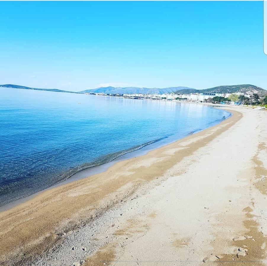 Avşa Motel Marmara Adası Dış mekan fotoğraf